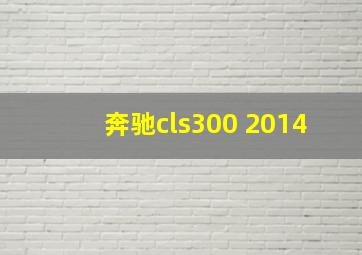 奔驰cls300 2014